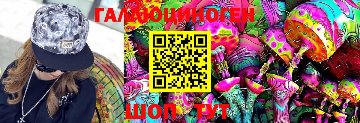 Тельмана  Галлюциногенные грибы MAGIC MUSHROOMS  Вход с VPN 