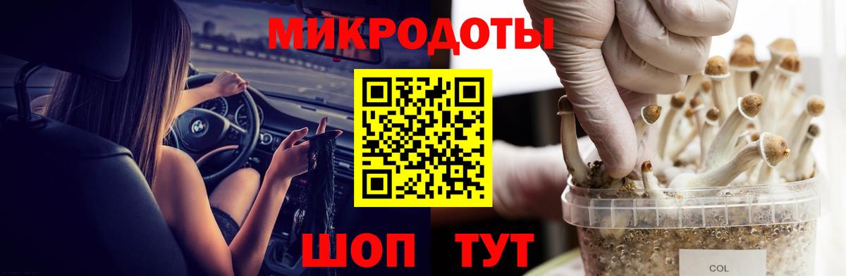 Галлюциногенные грибы Cubensis Тельмана